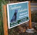 Oakhaven Labradors